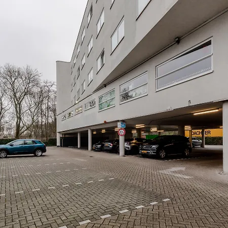 Shanghai Holland Delft