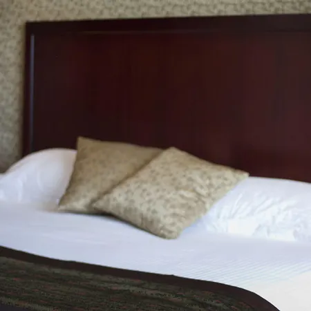 Shanghai Holland Hotel 4*