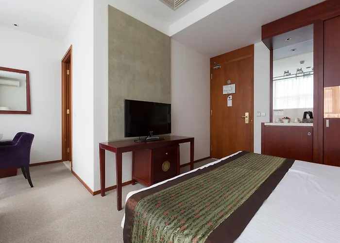 Shanghai Holland Делфт