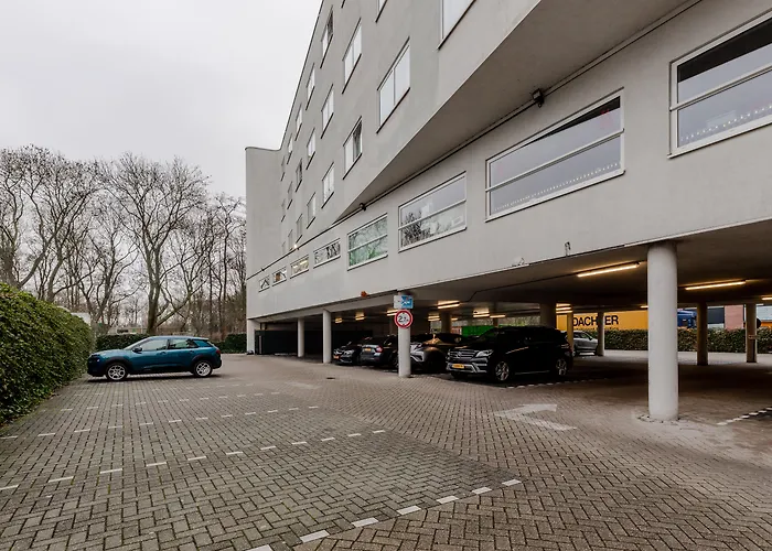 Shanghai Holland دلفت