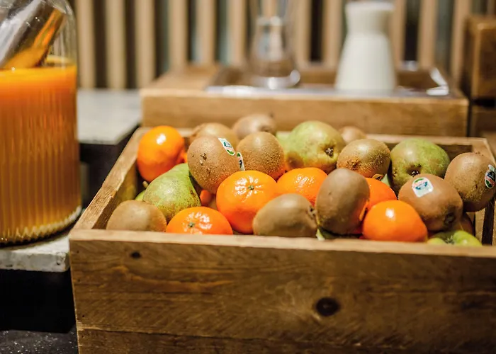 Shanghai Holland فندق 4*