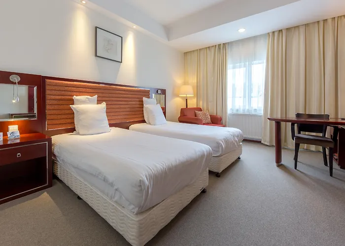 シャンハイ ホーランド